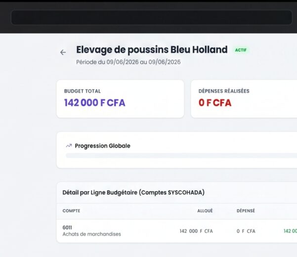 Budget et Comptabilité OHADA : L'automatisation enfin accessible aux PME sénégalaises